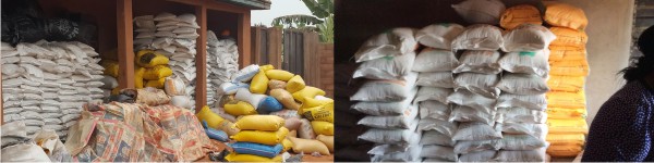 Rice Destoning Service at Best Royal Agro Venture Anambra State.